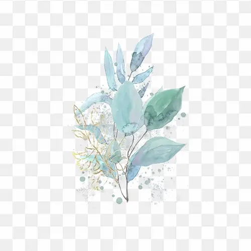 Watercolor Herbs png